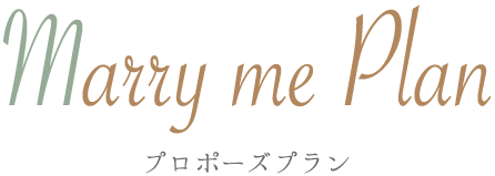 Marrymeplan Propose Plan